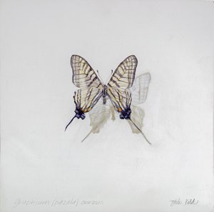  av Odile Kidd