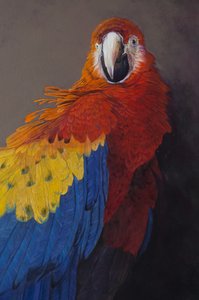  av Odile Kidd