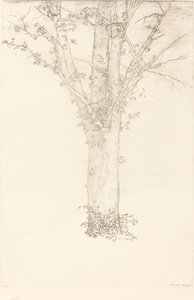 Tre av Odilon Redon