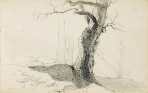 Tegning fra et album med tittelen "The Baskerland", 1862-63 av Odilon Redon