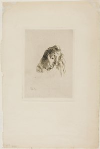 Fra bøker av Odilon Redon