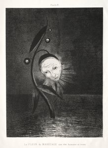Homage to Goya: The Marsh Flower, a Sad Human Head, 1885. av Odilon Redon