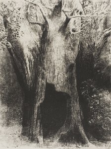 Jeg stupte inn i ensomhet. I Dwelt in the Tree behind Me, plate 9 av 24 av Odilon Redon