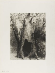 Jeg stupte inn i ensomhet. I Dwelt in the Tree behind Me, plate 9 av 24 av Odilon Redon