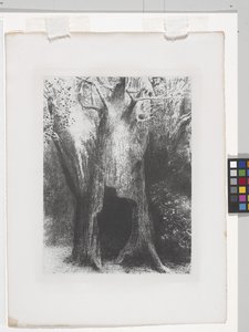 I Sunk Into Solitude (litografi på kinesisk applikasjonspapir) av Odilon Redon