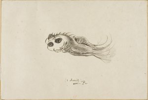 Meny for en middag for franske litografer, 1. april 1887 av Odilon Redon