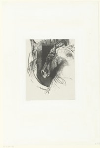 kamp ros Le Courcier (tittel på objekt) av Odilon Redon