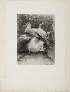 Den impotente vingen løftet ikke dyret inn i det svarte rommet, plate 7 av 8 fra "Les Origines" av Odilon Redon