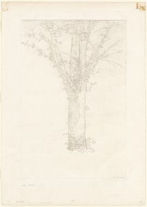 Tre av Odilon Redon