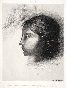 Ved oppvåkning så jeg gudinnen til det forståelige med hennes alvorlige og harde profil av Odilon Redon
