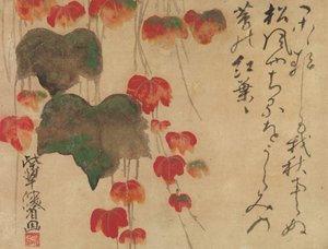Autumn Ivy, etter 1732.