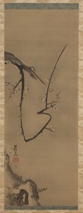 Prunus, hengende rulle, ca. 1700 (blekk på silke) av Ogata Korin