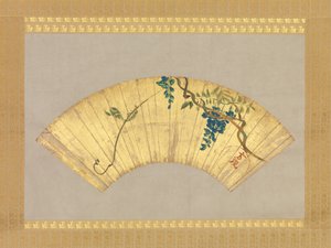 Wisteria, 1600-1700-tallet.