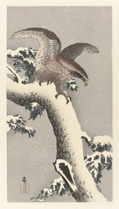Ørn på snødekt furutre av Ohara Koson