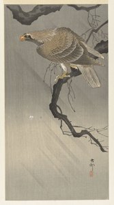 Ørn på gren av Ohara Koson