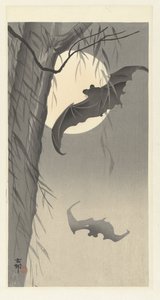 Flaggermus og fullmåne av Ohara Koson
