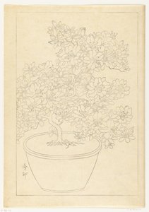 Blomstrende asalea i potte av Ohara Koson