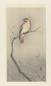 Bohemsk voksvinge på en gren av Ohara Koson