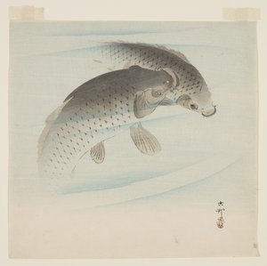 Karpe (Koi) (farget treblokktrykk) av Ohara Koson