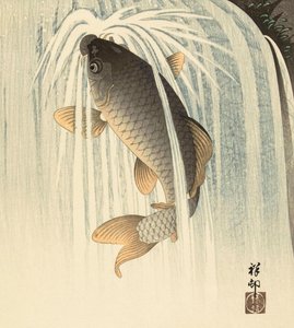 Karpe under en foss, av den japanske kunstneren Ohara Koson av Ohara Koson