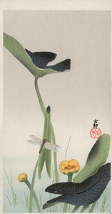 Dragonfly and Lotus (farget treblokktrykk) av Ohara Koson