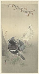 Tre tamme duer av Ohara Koson
