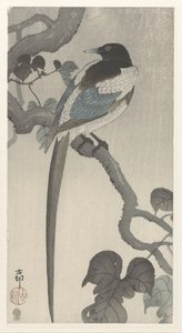Magpie på tregren av Ohara Koson