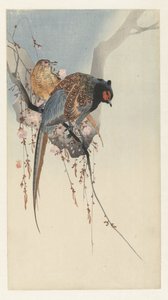 Fasanpar og plommeblomstrer av Ohara Koson