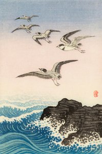 Five Seagulls Above a Rock in the Sea, 1900-tallet (japansk trykk) av Ohara Koson