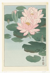 Blomstrende vannlilje av Ohara Koson