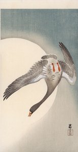Flygende kvitgås sett nedenfra foran månen (farget treblokktrykk) av Ohara Koson