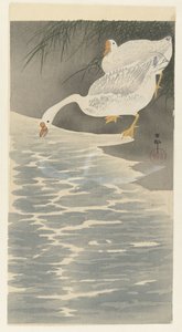 Gjess i fjæra av Ohara Koson
