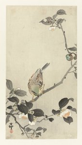 Bunting på blomstrende gren av Ohara Koson