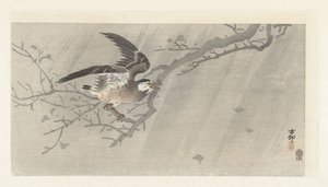 Gråstær i storm av Ohara Koson