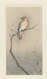 Japansk voksvinge på gren av Ohara Koson