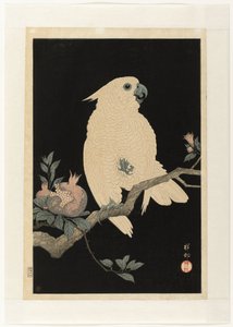 Kakadu med granateple av Ohara Koson