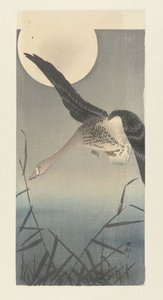 Blisgås ved fullmåne av Ohara Koson