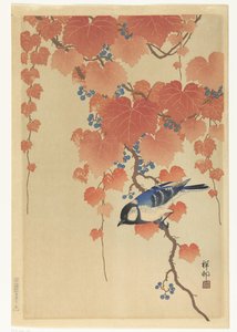 Pommemeis på paulownia-gren av Ohara Koson