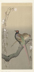 Et par fasaner og kirsebærblomst av Ohara Koson