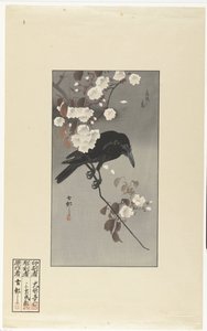 Kråke og kirsebærblomst Hana sakura no tori (tittel på objekt) av Ohara Koson