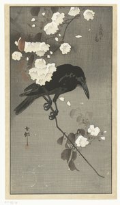Kråke med kirsebærblomst Hana sakura no tori (tittel på objekt) av Ohara Koson