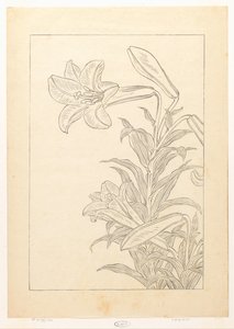 Lelies av Ohara Koson