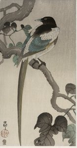 Magpie på en Pauwolna-gren (farget treblokktrykk) av Ohara Koson