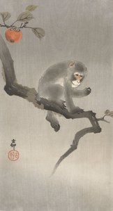 Ape i et frukttre, 1900-30 (fargetresnitt)