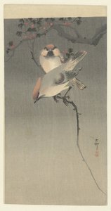 Voksvinger av Ohara Koson