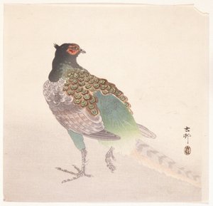Fasan (farget treblokktrykk) av Ohara Koson