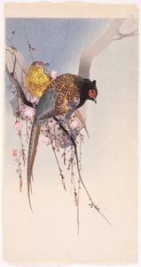 Fasaner og hengende kirsebær (farget treblokktrykk) av Ohara Koson