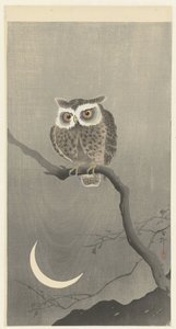 Barnugle på bar tregren av Ohara Koson