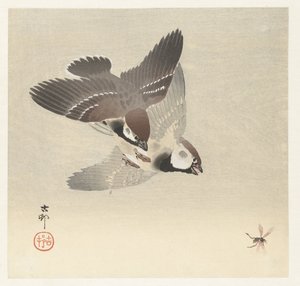 Ringspurver og insekt av Ohara Koson