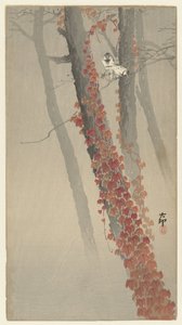 rød eføy av Ohara Koson